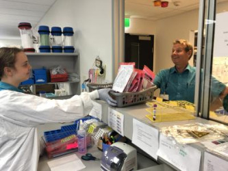 Courier delivers samples of COVID tests