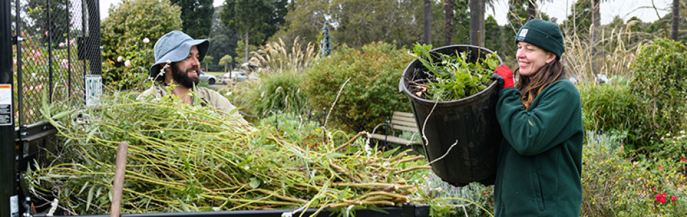 Well Connected Communities with Quality Local Environments pic